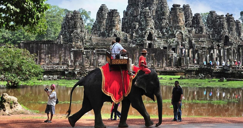 Angkor Elephant Rides