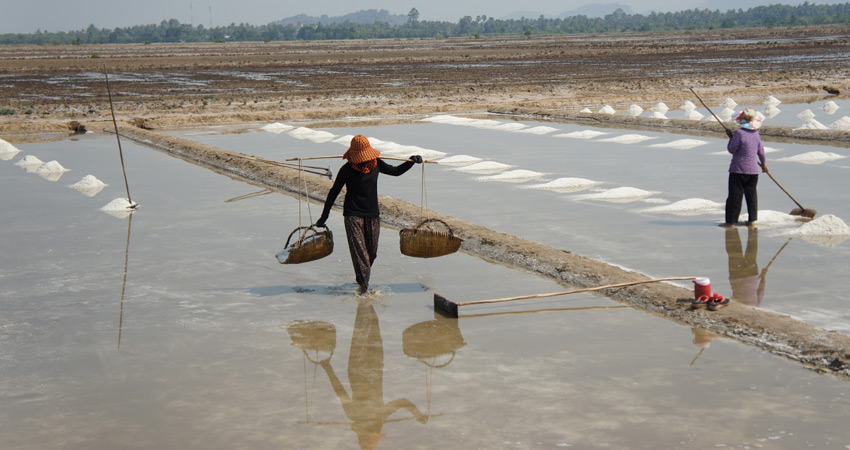 Salt Manufacturing Kep