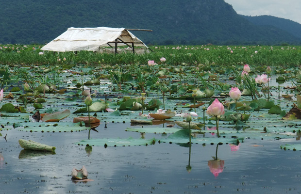 Kamping Puoy Lake