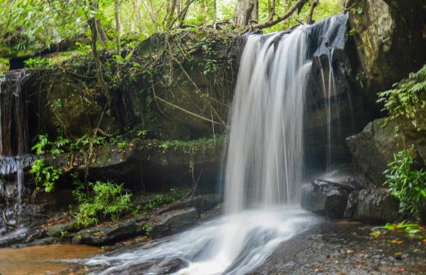 Phnom Kulen Waterfall Excursion 1Day